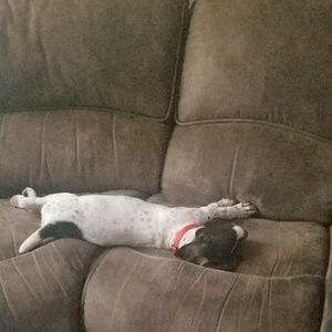 Meet your Posher, Jamie